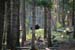 Moose19