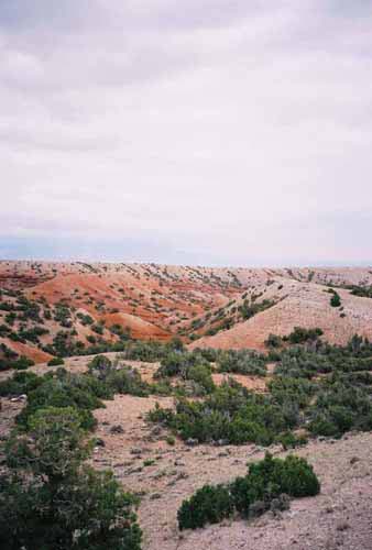 PryorMtns02