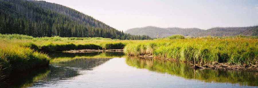 YellowStone01