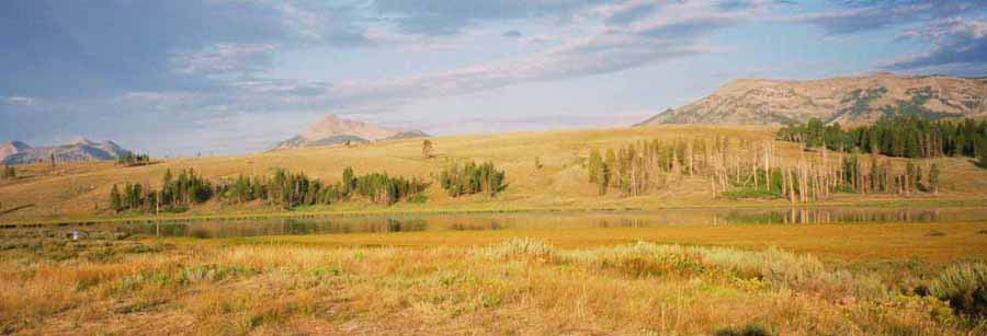 YellowStone03