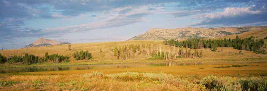 YellowStone04