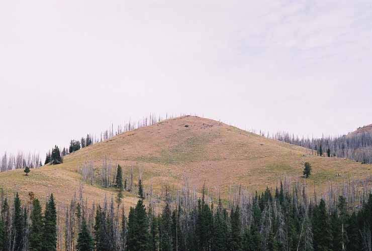 YellowStone14