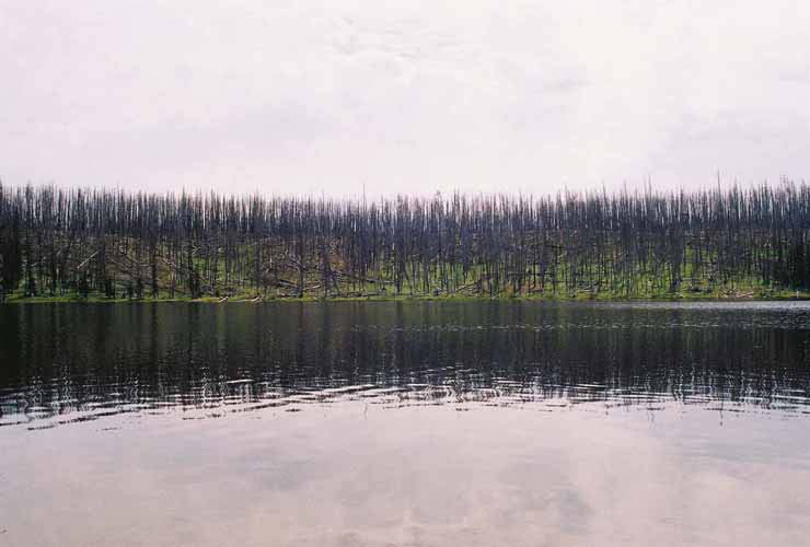 YellowStone15