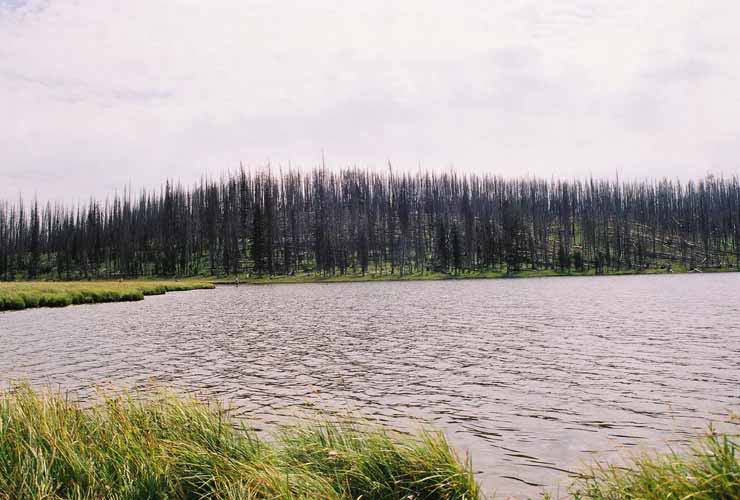 YellowStone16