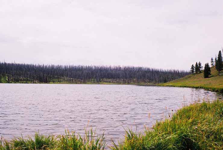 YellowStone17