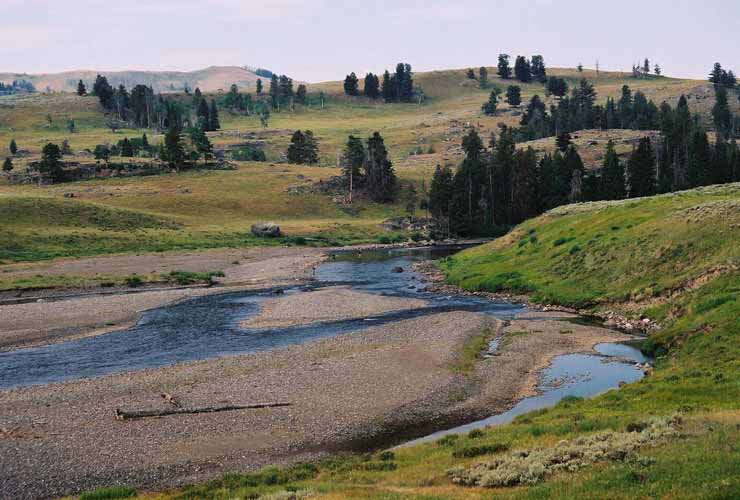 YellowStone29