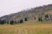 YellowStone18