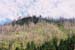 YellowStone24